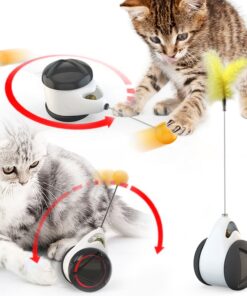 Tumbler Swing Toy for Cats