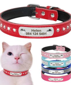 Pet Personalized Leather Collar