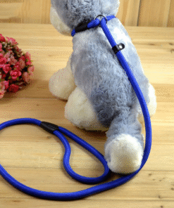 Soft Comfortable Nylon Collars For Dogs