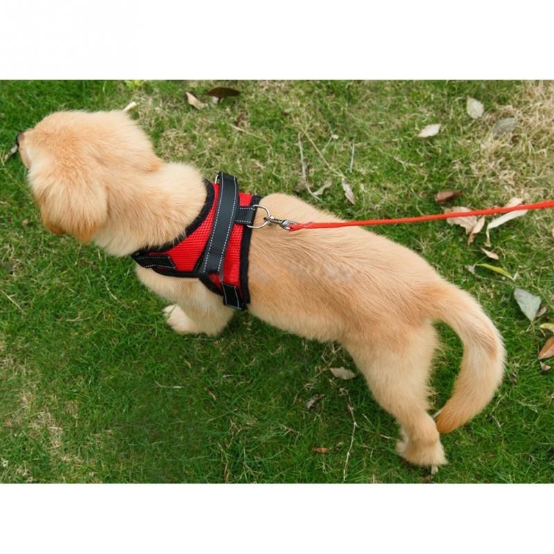 Dogs Soft Adjustable Harness