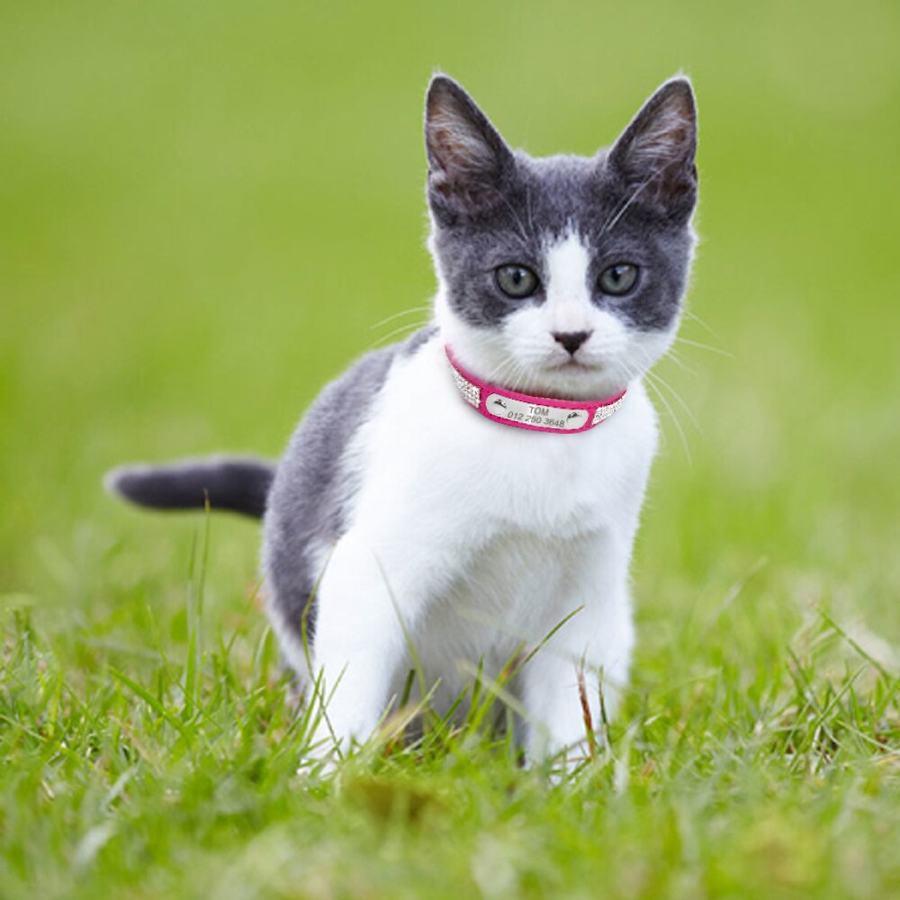 Pet Personalized Leather Collar