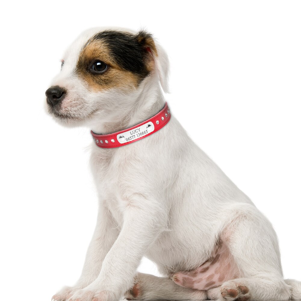 Pet Personalized Leather Collar