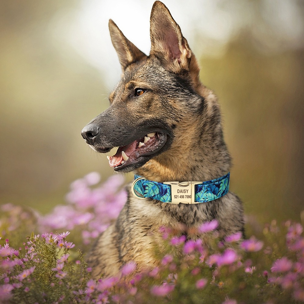 Nylon Engraved Nameplate Collar