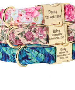 Nylon Engraved Nameplate Collar