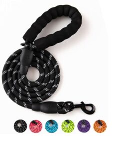 Colorful Thick Nylon Dog Leash
