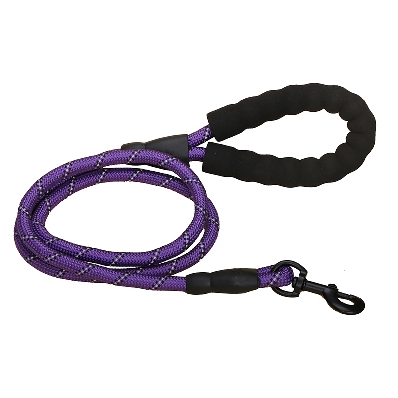 Colorful Thick Nylon Dog Leash