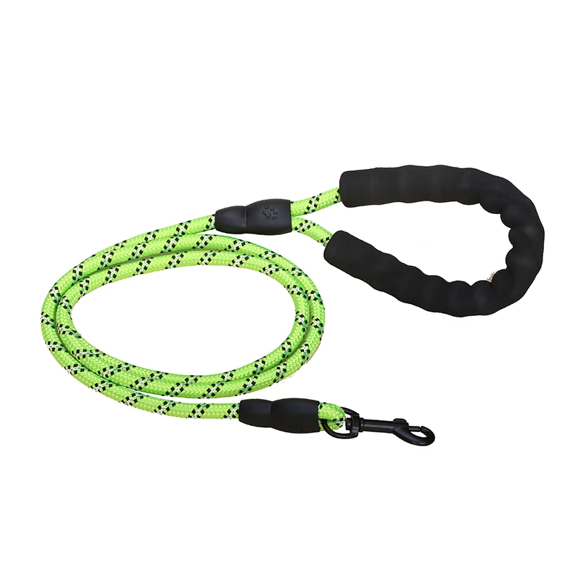 Colorful Thick Nylon Dog Leash