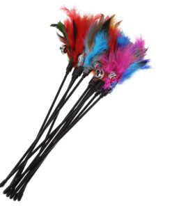 Set Interactive Sticks with Feathers for Cats