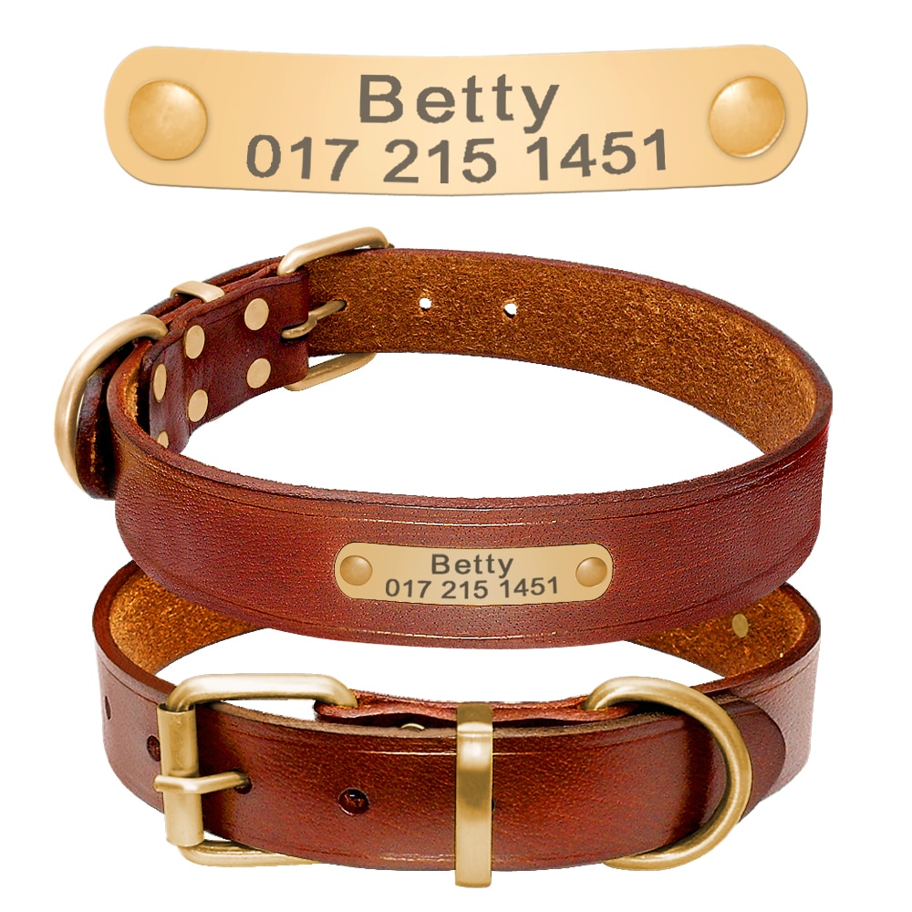 Elegant Genuine Leather Collar