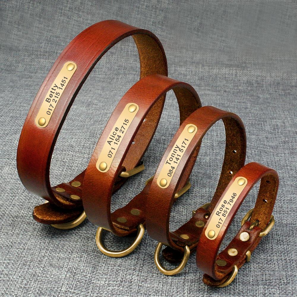 Elegant Genuine Leather Collar