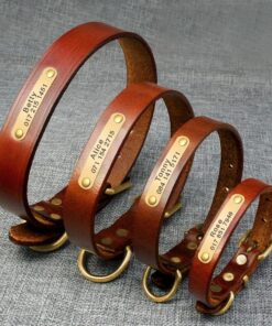 Elegant Genuine Leather Collar